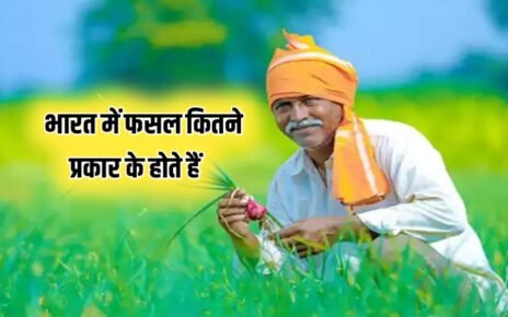 Types of Crops in india